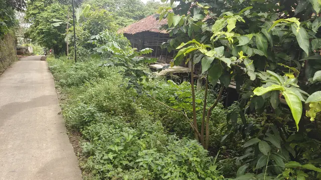 Sadis! Wanita Korban Kecelakaan di Depok Dibuang di Kandang Ayam
