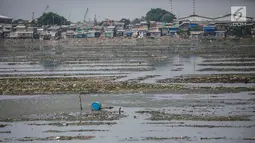 Suasana waduk Pluit yang mengalami pendangkalan di wilayah Penjaringan, Jakarta Utara, Sabtu (8/6/2019). Endapan lumpur cukup tebal yang diperparah dengan sampah menutupi permukaan air waduk tersebut mengantarkan aroma tidak sedap. (Liputan6.com/Faizal Fanani)