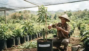 10 Trik Pohon Alpukat Cepat Bercabang Sejak Masih Kecil agar Tumbuh Rimbun dan Produktif