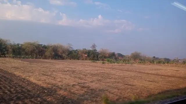 Hasil Foto Kamera Oppo A58, Kondisi Bergerak Meotret Sawah Kering