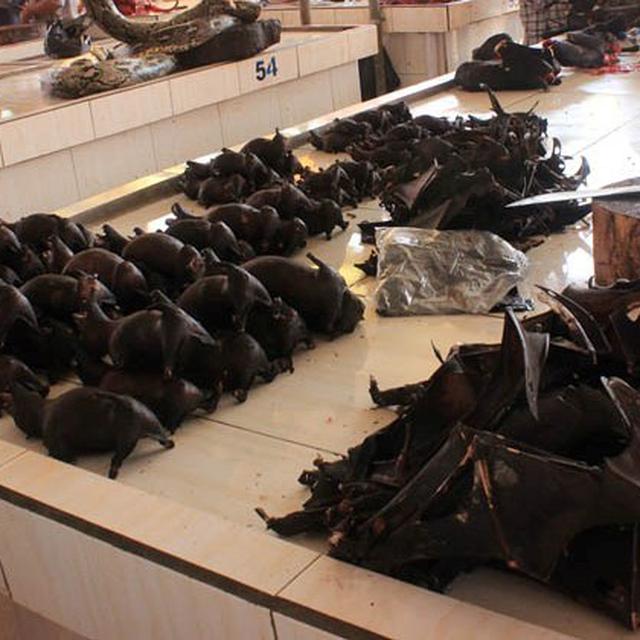 Sama Sama Menjual Hewan Liar Begini Perbedaan Pasar Tomohon Dan Pasar Huanan Di Wuhan Lifestyle Liputan6 Com