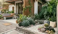 15 Tanaman Hias Tahan Panas yang Cocok untuk Taman Kering di Daerah Tropis, Cantik dan Mudah Dirawat