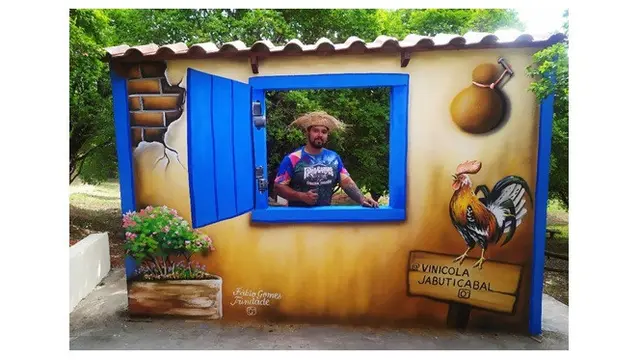 Seniman Ini Gabungkan Tanaman dengan Grafiti 6 Hasilnya Mengagumkan