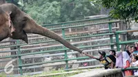 Pengunjung memberi makan seekor gajah meski terdapat larangan untuk memberi makanan kepada binatang, Jakarta, Sabtu (9/7). Pengunjung Kebun Binatang Ragunan kembali membeludak di akhir libur Lebaran. (Liputan6.com/Yoppy Renato)