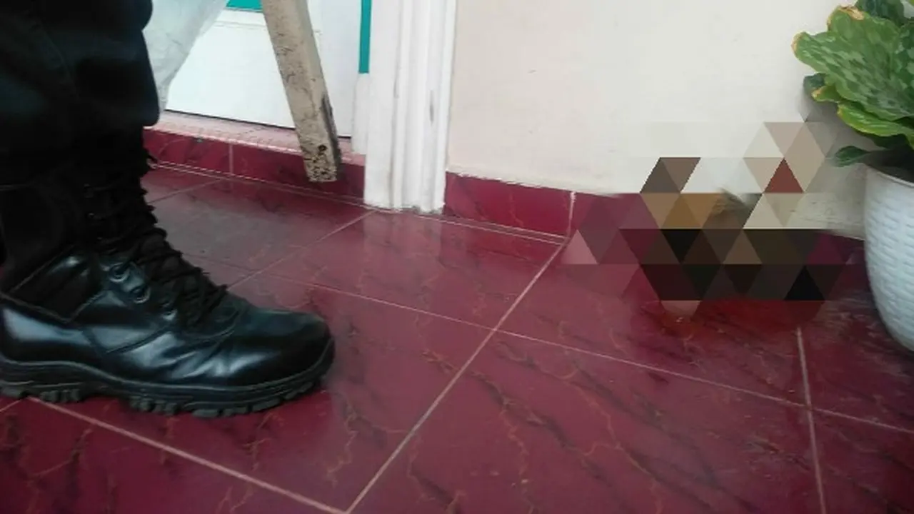 Potongan kepala anjing yang dilempar orang tak dikenal di depan rumah Kasi Penkum dan Humas Kejati Riau.