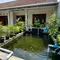 10 Desain Kolam Ikan Air Tawar yang Mudah Dikuras, Praktis untuk Rumah Subsidi