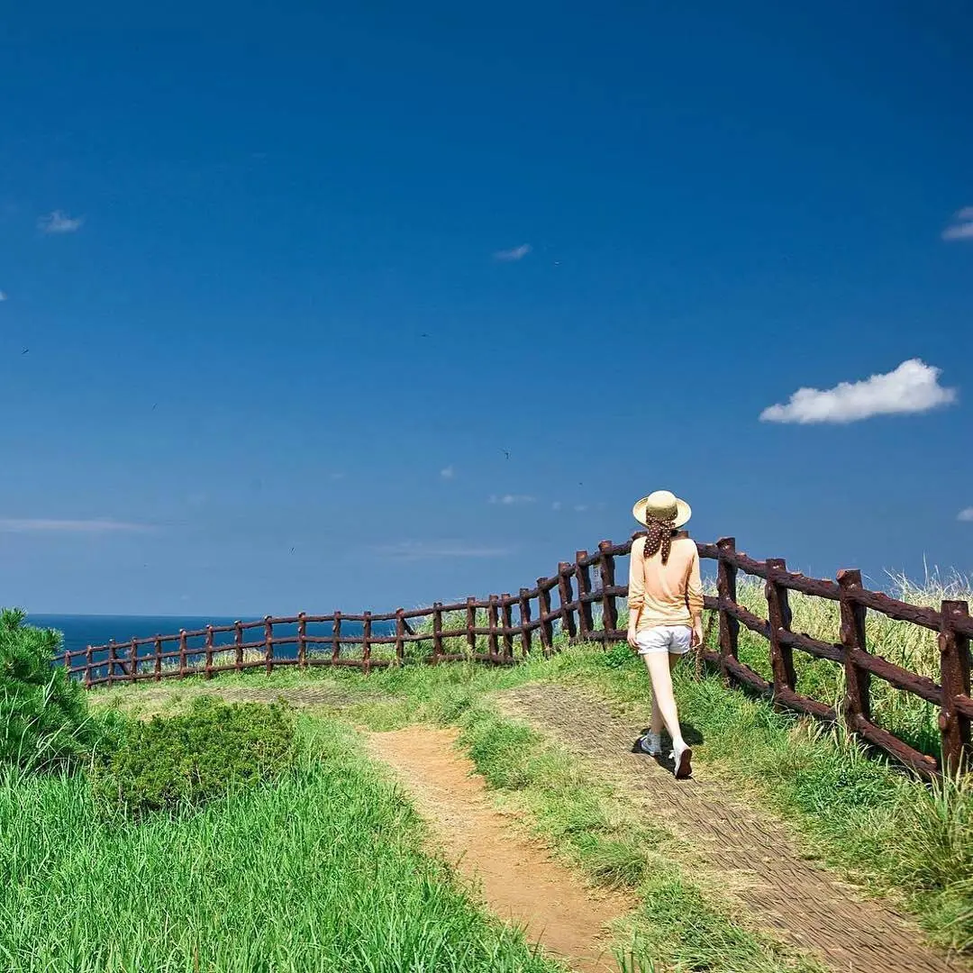 Ollie walking trail, Pulau Jeju, Korea Selatan. (Sumber Foto: loveaffairwithkorea/Instagram)