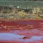 Berubahnya warna Sungai Daldykan menjadi merah darah akibat tumpahan di salah satu pabrik Norilsk Nickel (AFP/Green Peace)