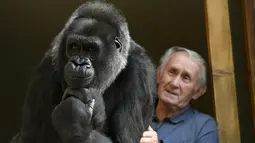 Pierre Thivillon berdiri disamping gorila peliharaannya , Digit, di Lyon, Prancis , 19 Agustus 2016. Pierre dan istrinya, Eliane, telah hidup selama 18 tahun dengan Digit, seekor gorila yang mereka adopsi sejak masih bayi. (Philippe DESMAZES/AFP)