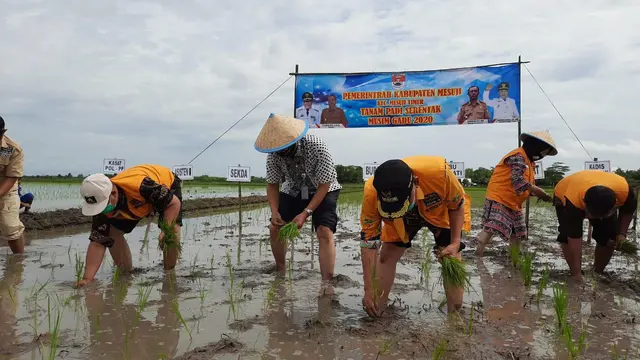 Kementan Tanaman Pangan