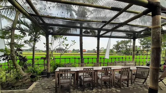 Tempat Makan View Sawah di Jogja