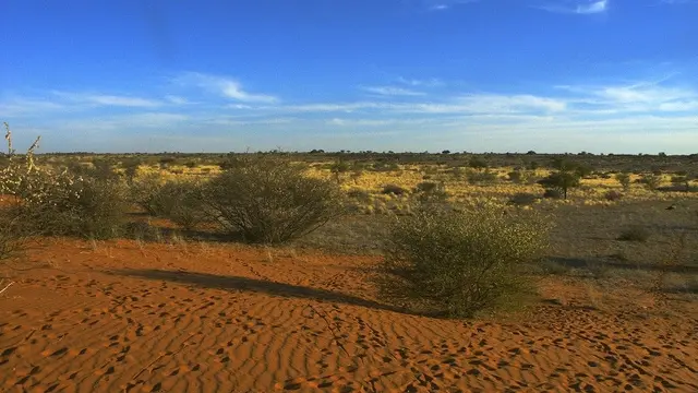 Gurun Kalahari