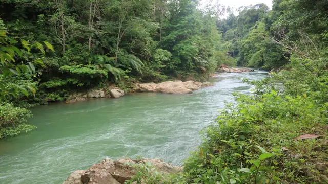 Sungai Batang Momong, Lubuak Karak Kecamatan IX Koto, Dharmasraya. (Nabhan Aiqani)