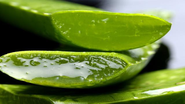 20150803-4 Kiat Atasi Bau Tidak Sedap pada Miss V-Lidah Buaya