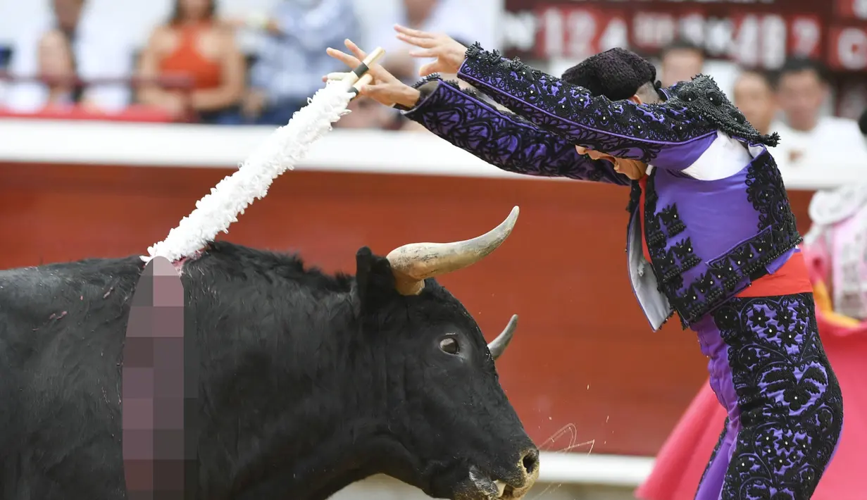 Seorang matador tampil saat adu banteng di arena adu banteng Canaveralejo dalam rangka Festival Cali di Cali, Kolombia (27/12/2022). (AFP/Joaquin Sarmiento)