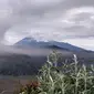 Gunung Bromo berstatus waspada. (Liputan6.com/Dian Kurniawan)