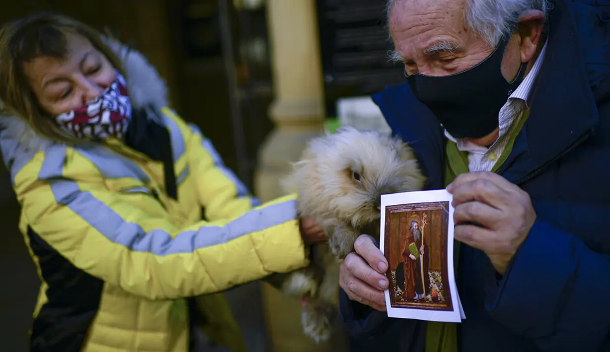 Fernando Hipolito (82 tahun) memegang kelinci peliharaannya dan kartu religius untuk diberkati saat pesta Santo Antonius di Pamplona, Spanyol, 17 Januari 2022. Pesta ini dirayakan setiap tahun dan orang-orang membawa hewan peliharaan mereka ke gereja untuk diberkati. (AP Photo/Alvaro Barrientos)