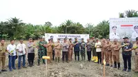 Pj Gubernur Sulbar Bahtiar Baharuddin melakukan tanam perdana pisang cavendish di Pasangkayu (Foto: Liputan6.com/Istimewa)