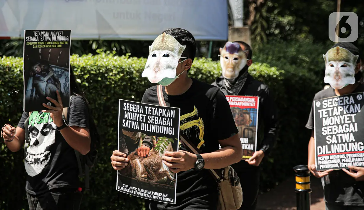 Massa yang tergabung dalam Koalisi Primates Fight Back mengenakan topeng monyet saat melakukan aksi di depan Kantor Kementerian Lingkungan Hidup dan Kehutanan, Jakarta, Senin (12/12/2022). Dalam aksinya mereka mendesak pemerintah untuk menetapkan monyet sebagai satwa dilindungi. (Liputan6.com/Faizal Fanani)