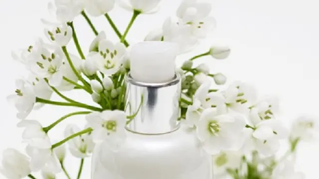 Mencerahkan Kulit dengan Kemewahan Bahan Alami dari Loccitane
