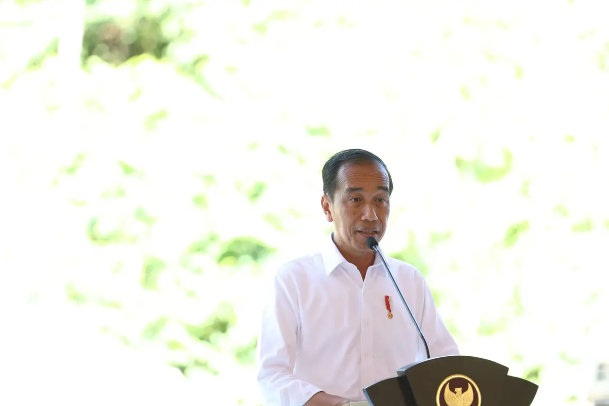 Presiden Joko Widodo (Jokowi) (Foto: Otorita IKN,OJK)