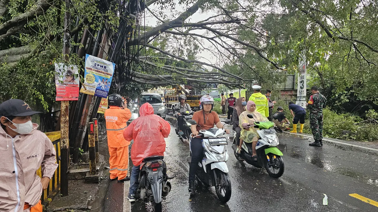 Pohon tumbang sempat memutus jalan hingga menyebabkan kemacetan panjang di Jalan Raya Muchtar, Sawangan, Depok.