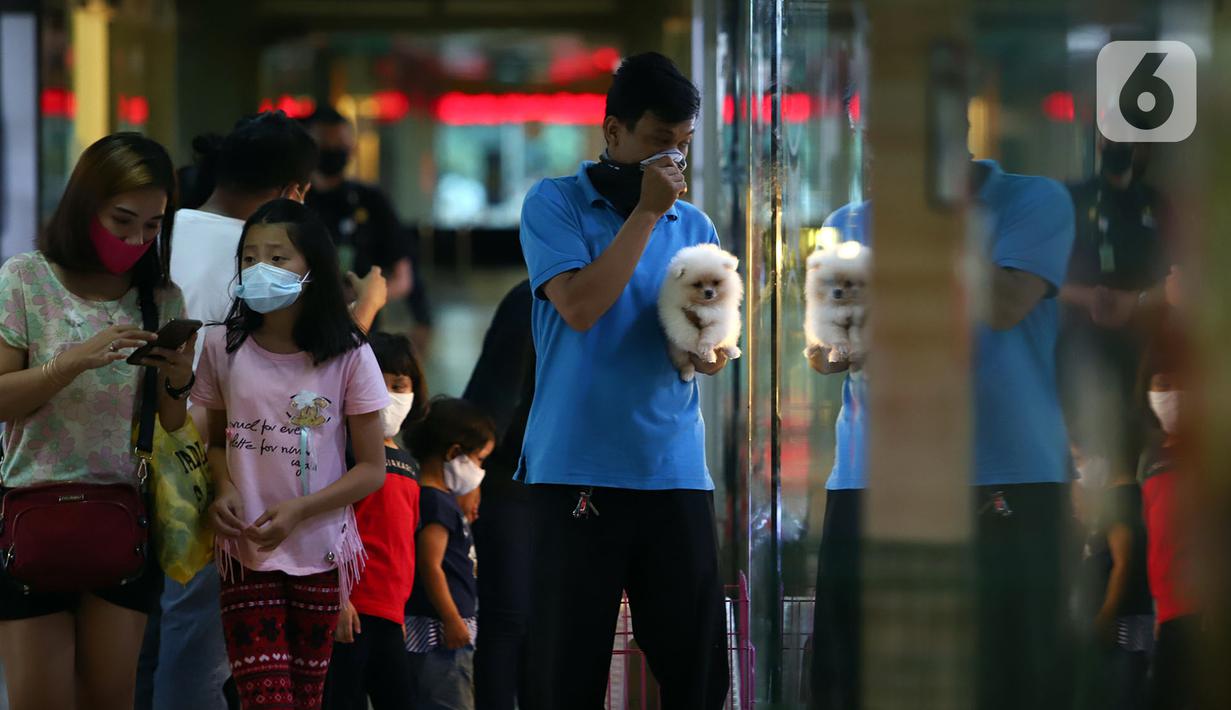 FOTO Jakarta Masih PSBB Transisi Toko  Hewan  Peliharaan  