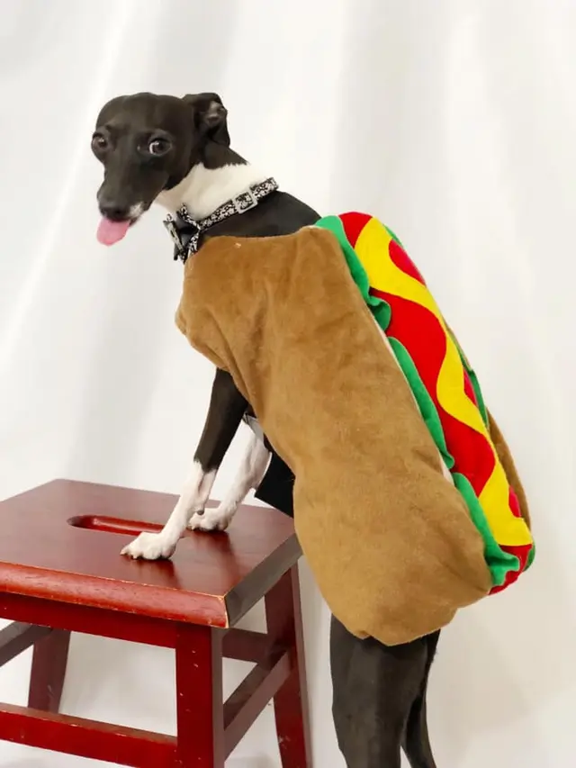 Lezat! Nih ambil aja hotdog-nya