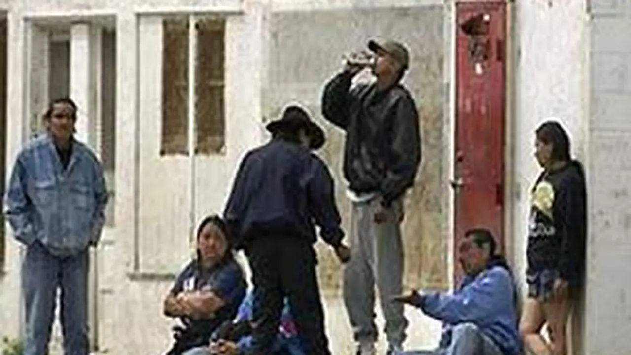 120212cindian-bir.jpg