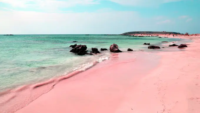 Bukan Putih, 10 Pantai di Dunia Ini Malah Berpasir Pink