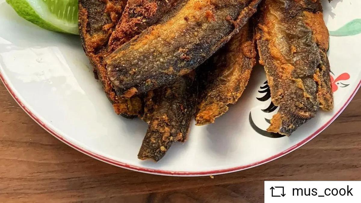Goreng Lele Tetap Lurus dan Gurih Tanpa Tepung, Ini Rahasianya
