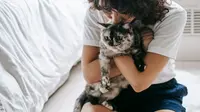 Cara Kucing Memilih Orang yang Disukainya, Ternyata Bukan Sekadar Soal Siapa yang Memberi Makan