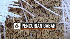 curi gacah thumbnail