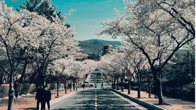 Drama Korea Ini Pernah Syuting di Daegu yang Terkena Wabah Corona