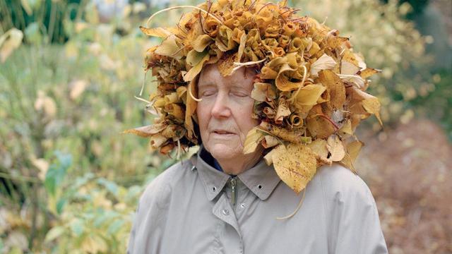 Lansia Dirias Ranting dan Dahan Kering