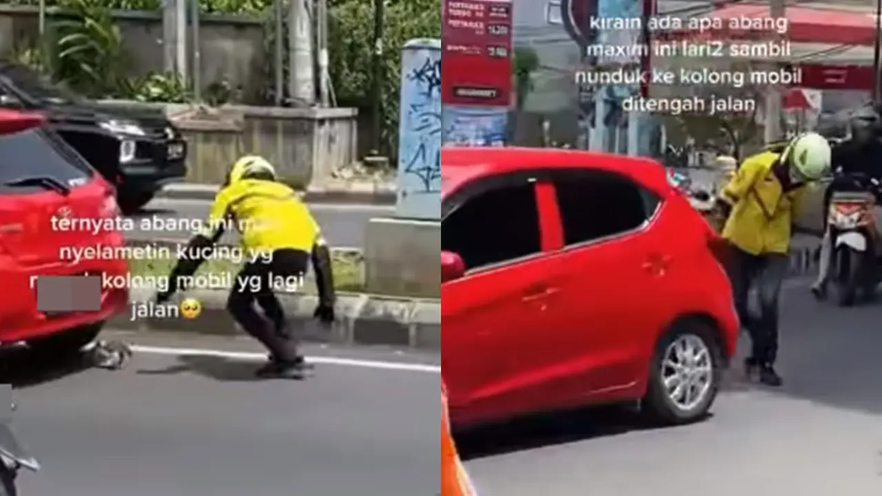Driver ojol berlarian selamatkan kucing (Instagram/@memomedsos)