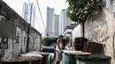 Ridho mengeringkan kulit sapi untuk bahan baku bedug di kawasan H. Masmansyur, Tanah Abang, Jakarta, (17/6). Menjelang lebaran, sejumlah pedagang menjual aneka ragam bedug yang dijual dari harga Rp.100 ribu hingga Rp.4 juta. (Liputan6.com/Faizal Fanani)