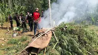 Profesor di Aceh Yakin Senyawa Ganja Bisa Tangkal Virus Corona Covid-19