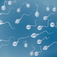 Pria dengan Jumlah Sperma Sedikit Rentan Kena Penyakit? (Vchal/Shutterstock)