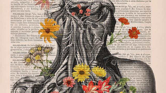 Cultural and Ethnic Patterns