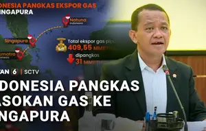 Pasokan Gas ke Singapura Dipangkas, RI Utamakan Kebutuhan Dalam Negeri
