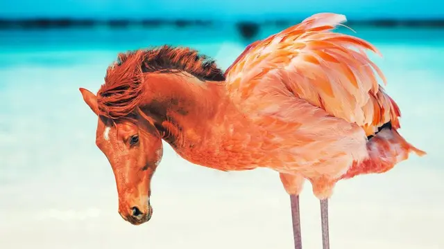 6 Editan Foto Jika Hewan Lain Jadi Burung Ini Kreatif, Unik Banget