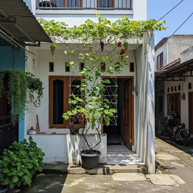 9 Pohon yang Cocok untuk Rumah Gang Sempit, Pilihan Aman Lahan Terbatas