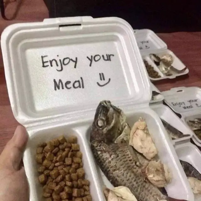 6 Potret Nasi dengan Lauk Mentah Ini Nyeleneh, Bikin Nafsu Makan Hilang