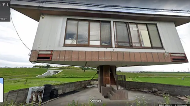 rumah jamur