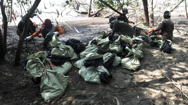Antusiasme Nelayan Muara Gembong Kumpulkan Tumpahan Minyak Pertamina