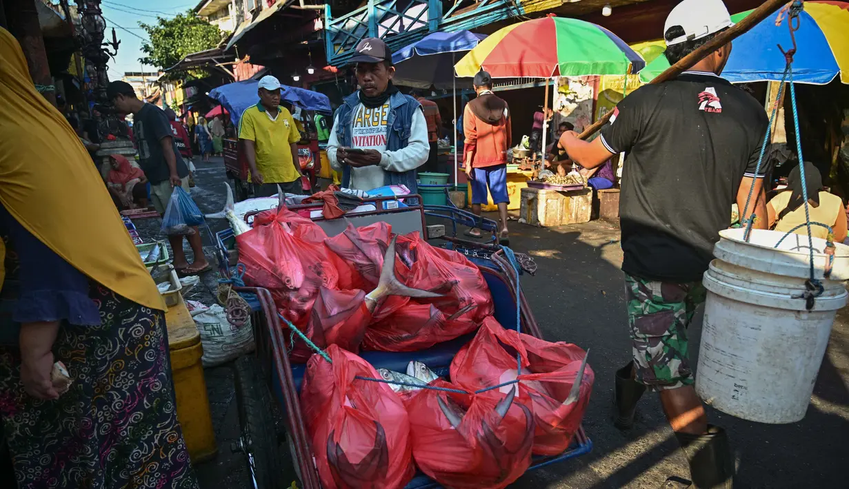 Kementerian Kelautan dan Perikanan (KKP) menegaskan penguatan sektor perikanan tangkap maupun budidaya merupakan langkah strategis untuk memenuhi kebutuhan protein masyarakat yang kian meningkat seiring pesatnya pertumbuhan jumlah penduduk. (Juni Kriswanto/AFP)