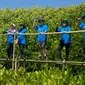 KEHATI dan Sankyu tanam 3.000 mangrove di pesisir Makassar (Liputan6.com/Fauzan)