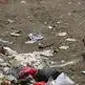 Salah satu monyet tengah memunguti sampah dan makanan sisa di area milik warga. (Liputan6.com/Jayadi Supriadin)