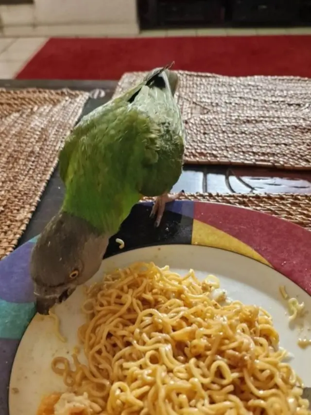 6 Potret Burung Ikut Makan Ini Bikin Tepuk Jidat,